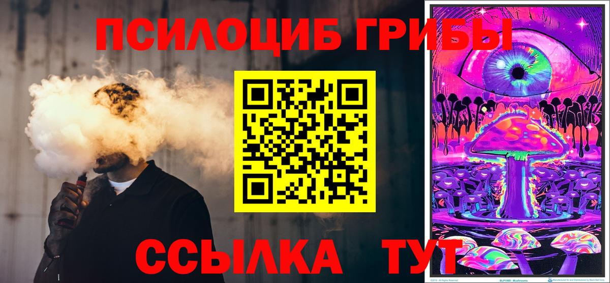 Псилоцибиновые грибы Magic Shrooms  Вход с VPN  наркотики  Куйбышев  Псилоцибиновые грибы мухоморы 