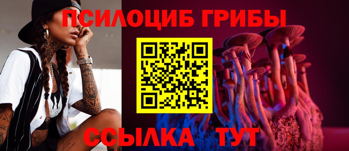 Псилоцибиновые грибы мухоморы Куйбышев